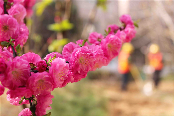 й2299˹(ɷ)޹˾-ٷվ