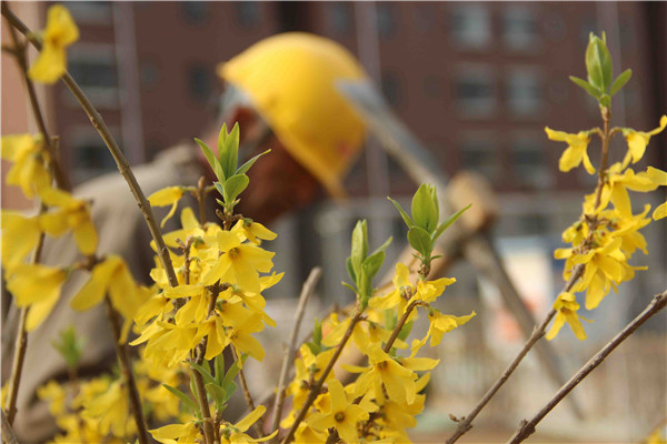 й2299˹(ɷ)޹˾-ٷվ