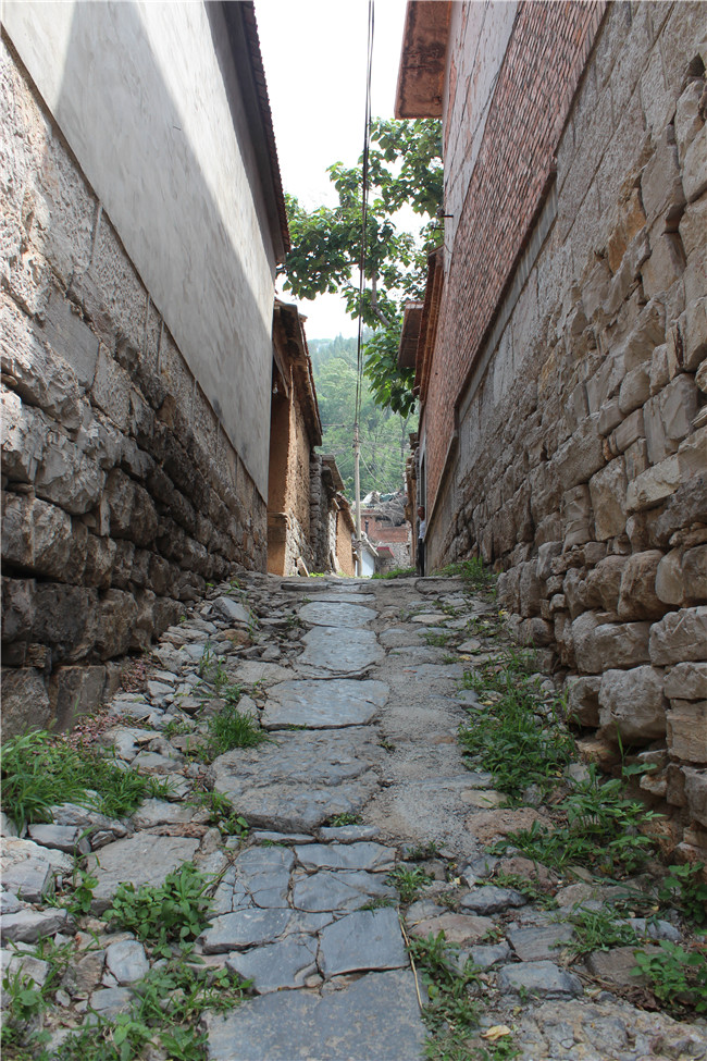 й2299˹(ɷ)޹˾-ٷվ